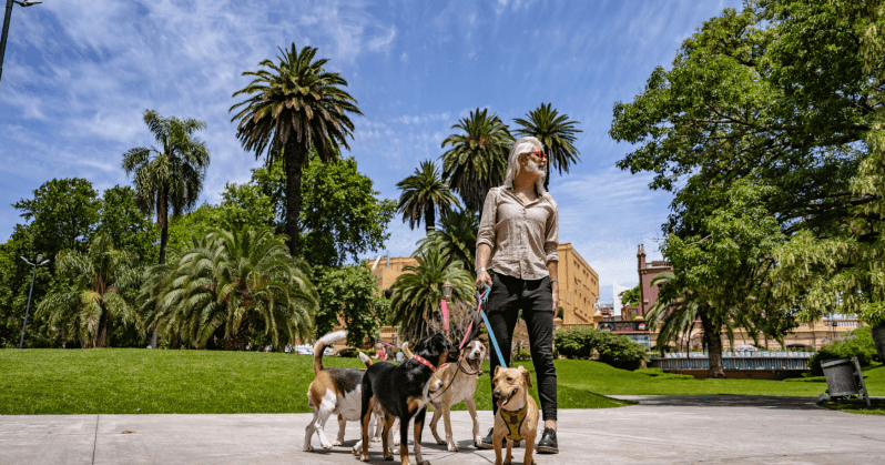 SEO that gets results. | Prescott Valley