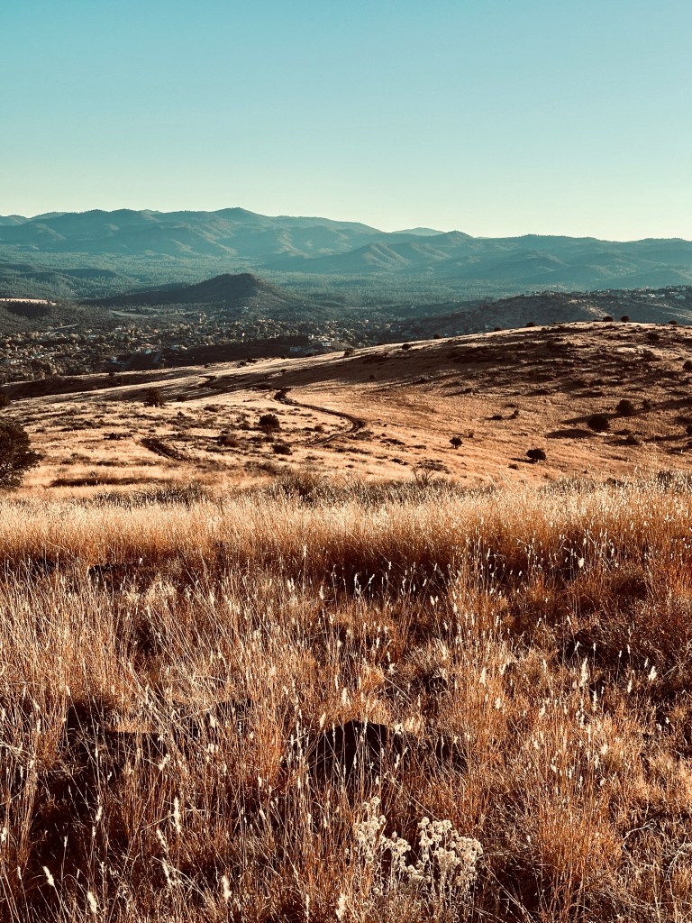 SEO that gets results. | Prescott Valley